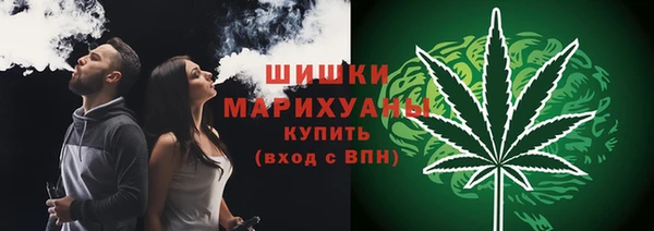 крисы Лагань
