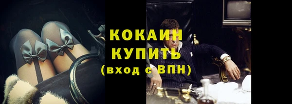 крисы Лагань