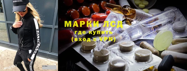 крисы Лагань